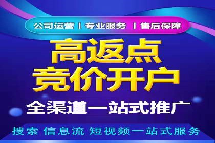 百度竞价推广运营实战技巧与经典案例剖析